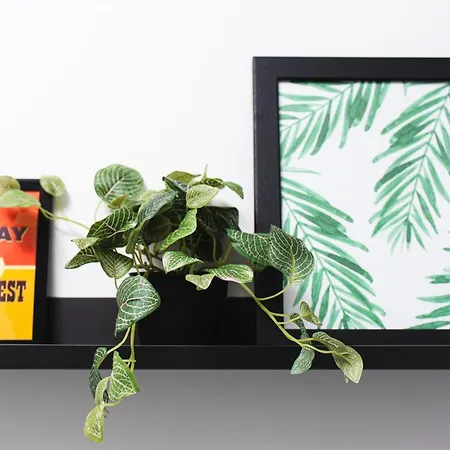 Redland By Mycityhaven