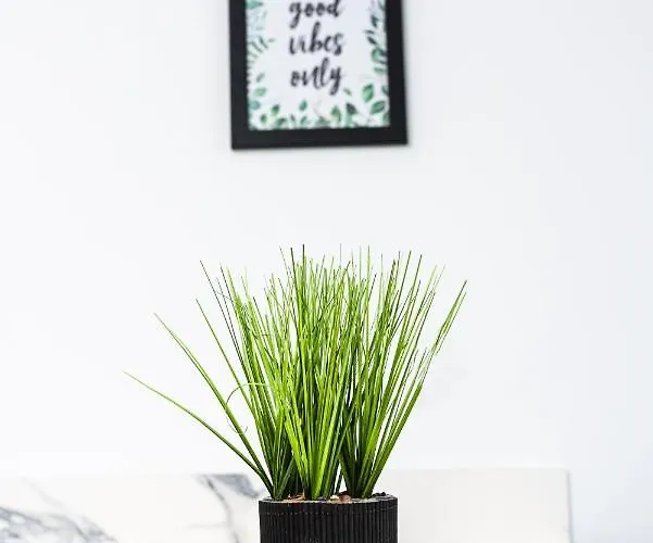 Redland By Mycityhaven Appartamento