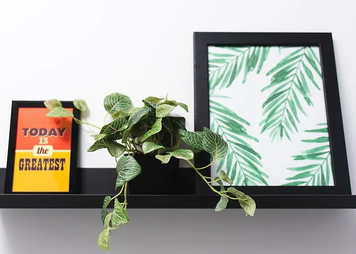 Redland By Mycityhaven