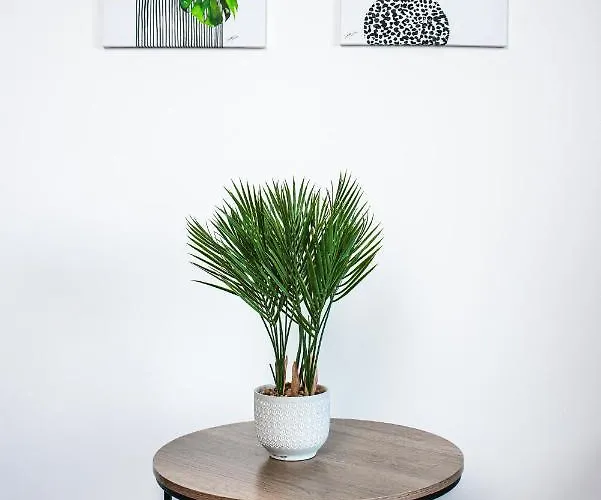 Redland By Mycityhaven Bristol